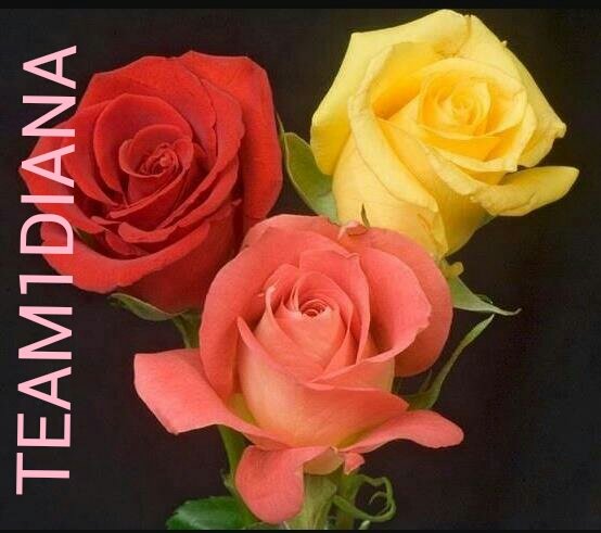 RevistaVB's tweet photo. ๐ฎ@alaura2015 ๐ฎ@HotSonna1 ๐ฎ@vilaandrealili1 ๐ฎ@TM1DN ๐พ@Nature_Blogs ๐พ@WallpapersUK ๐ฎ@TREALDIA ๐ฎ@DULCE_PASION__ ๐ฎ@Silau25 ๐ฎ@Quinnqueens
#T1DN https://t.co/tIoOPL9iHF