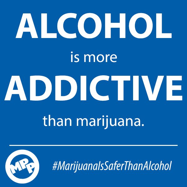 MarijuanaPolicy's tweet photo. .@NIDAnews #NIDAFW #alcohol is more addictive than #marijuana: learn more https://t.co/VffmfGeMWH contact lawmakers https://t.co/jwXtbmzUzJ https://t.co/PATMmky6iy