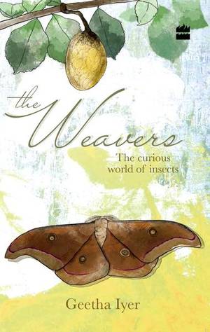 DiversityIndia tweet media