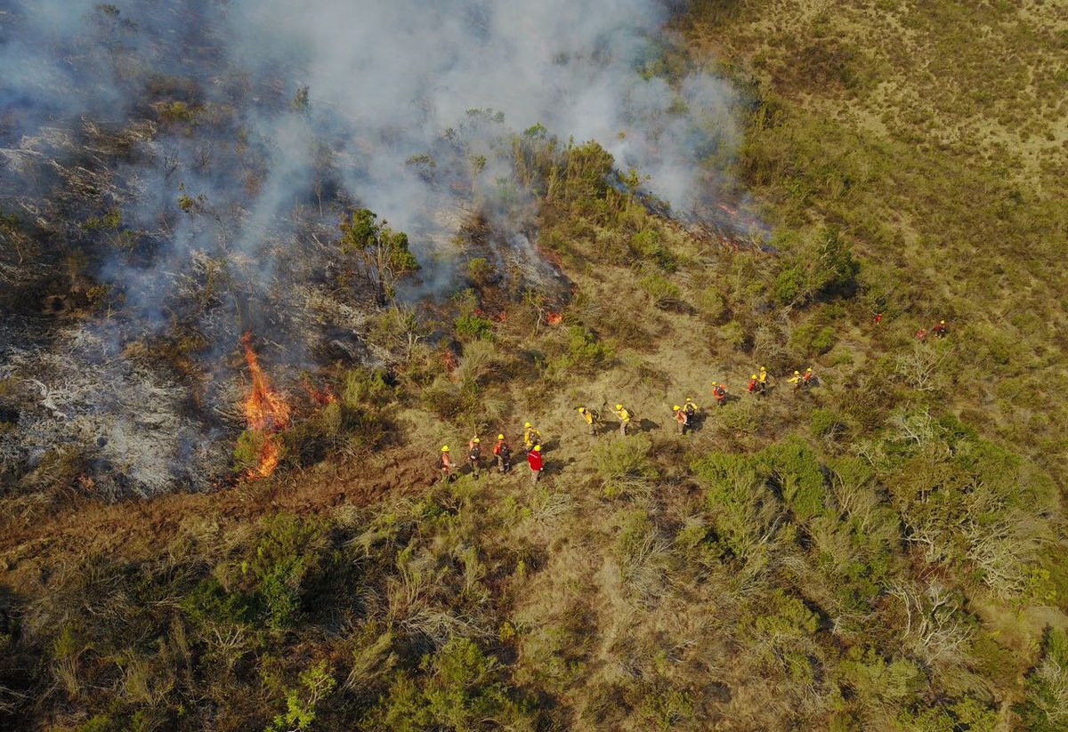 elobservatodo's tweet photo. Fiscalía ordena a PDI investigar origen de incendio forestal en Los Vilos https://t.co/PWzlRleQUw #LaSerena #Coquimbo #Chile https://t.co/VN8farBOsh