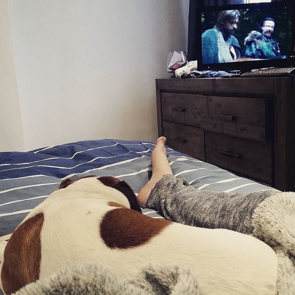 niightiingaleee's tweet photo. Cuddles with this little one while watching game of thrones!! 💙 #prefect https://t.co/OQBKrsXrrs https://t.co/MZLwCgYEwv