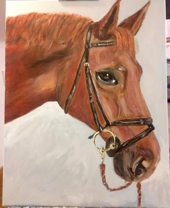 Annacurtin2010's tweet photo. 'Rua' the latest from @buttons2000 #alansart #art #acrylic #portrait #horse https://t.co/flRVfYT15u