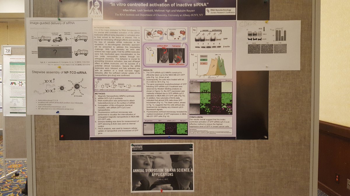 TheRNAInstitute's tweet photo. Dr. Khan presents at Gordon Research Conference 2017 #RoyzenLab and #AgrisLab @TheRNAInstitute https://t.co/hyeOlZ8HJ7