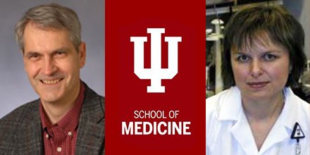 IUMedSchool's tweet photo. Faculty #startup receives funding for developing novel therapeutics for #pulmonary diseases such as #COPD: https://t.co/47SEbKAxTZ https://t.co/cerVsDpUDs