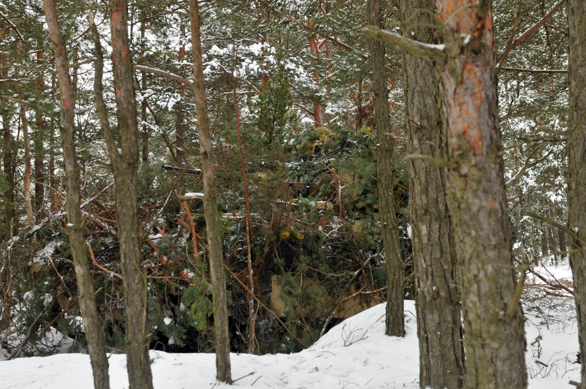 DeptofWar's tweet photo. Can you spot it? #Soldiers practice camouflaging a 28-ton Bradley Fighting Vehicle as part of Operation Atlantic Resolve training in Poland. https://t.co/MjPUiSZvJN