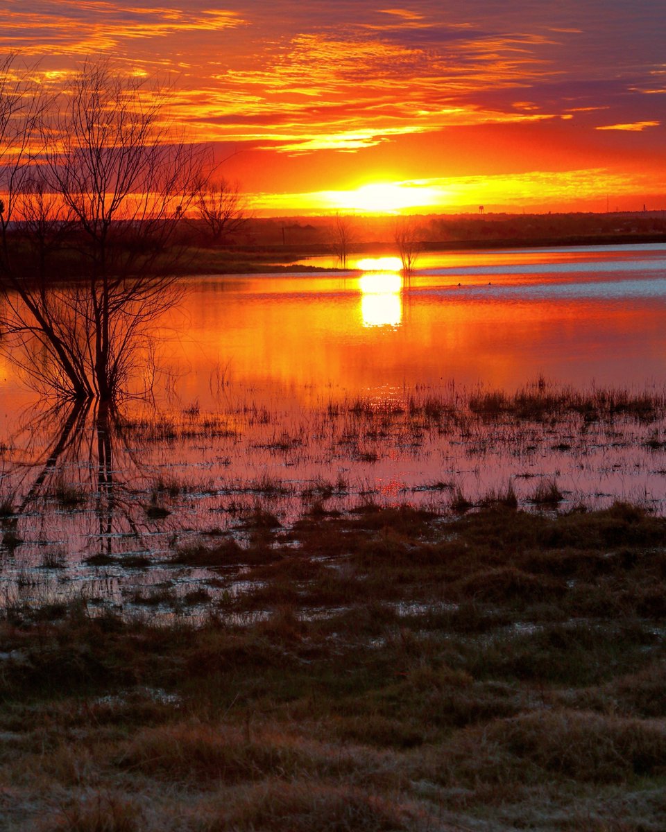 BrownsClassYall's tweet photo. Can't get over the sunrises this week! #texas #sunrise #ATX @KOKEFMAUSTIN https://t.co/P6SnHWSqww