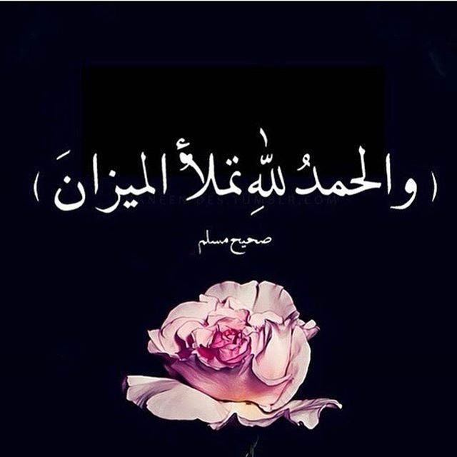 MissRose686's tweet photo. @islamic_pic 
@ya_allah_2 
@BetaqaDaawia https://t.co/PmHgStdI3j