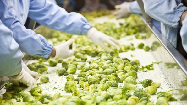 MEMSgrad's tweet photo. Optical #Sensors Bring Spectral Analysis to the Palm of Your Hand: Food Safety https://t.co/yMyxypFt3k https://t.co/EEVbT7zuYF