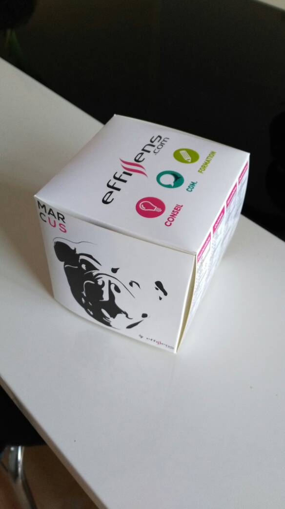 cap_project's tweet photo. Merci @Effissens Effissens pour cette délicate attention qui prend place sur le bureau ! #communication #nimes #effissens #gard #caproject https://t.co/RKYE9jxkJb