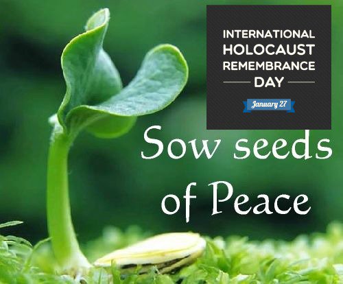 weedmanmontreal's tweet photo. Today our #FridayFeeling is dedicated to #HolocaustMemorialDay as we reflect on the importance of planting seeds of #peace #wordsofweedsdom https://t.co/vmbRlHVBlS