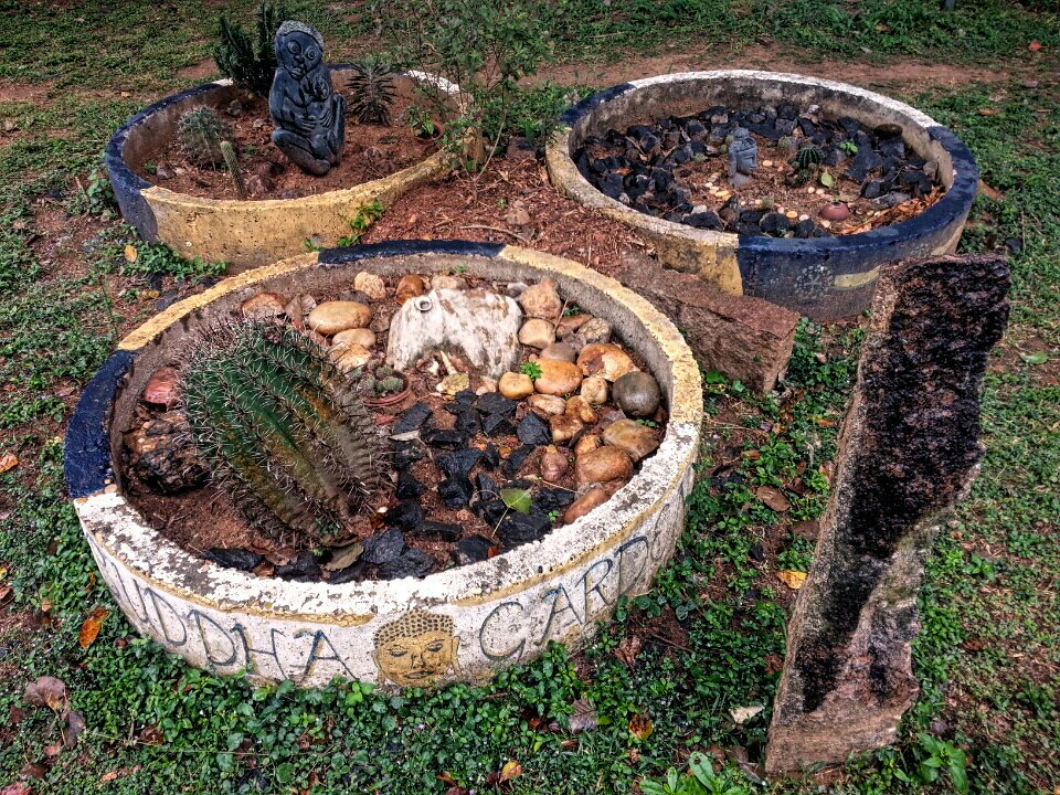 winds_of_travel's tweet image. "Plant seeds, not divisions"

#buddhism #organicfarming #sustainable #bringthechange #auroville #indiatravel