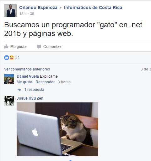 maxch21's tweet image. Es que así no se puede! Feliz viernes! 🤣😼💻
#programner #cat #tgif