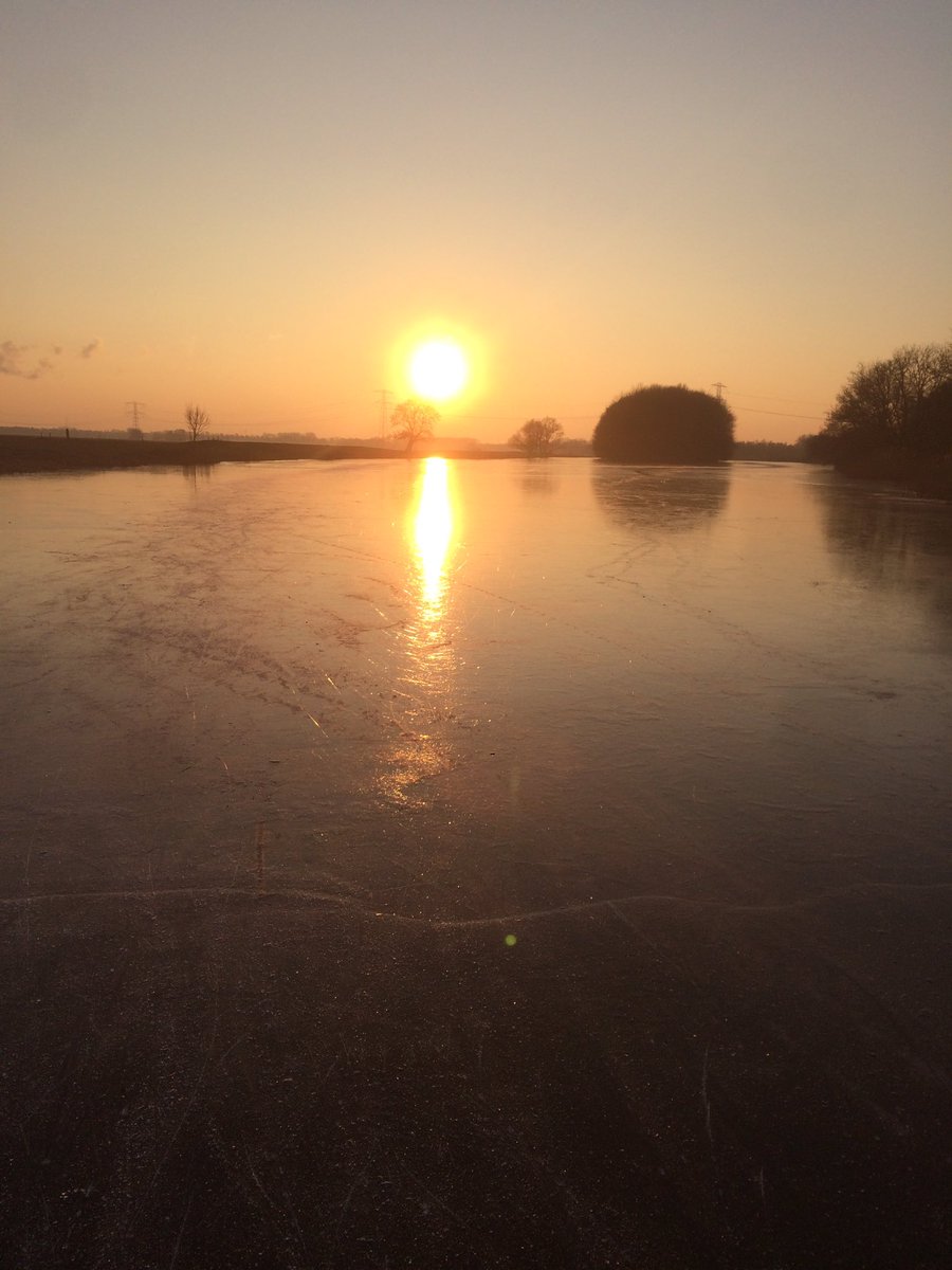 tjerkderegt's tweet photo. Voorlopig laatste dag, maar gistermiddag en vanmorgen nog lekker een paar uur geschaatst #natuurijs #biesbosch #topwinter https://t.co/LzNE9eY2ip