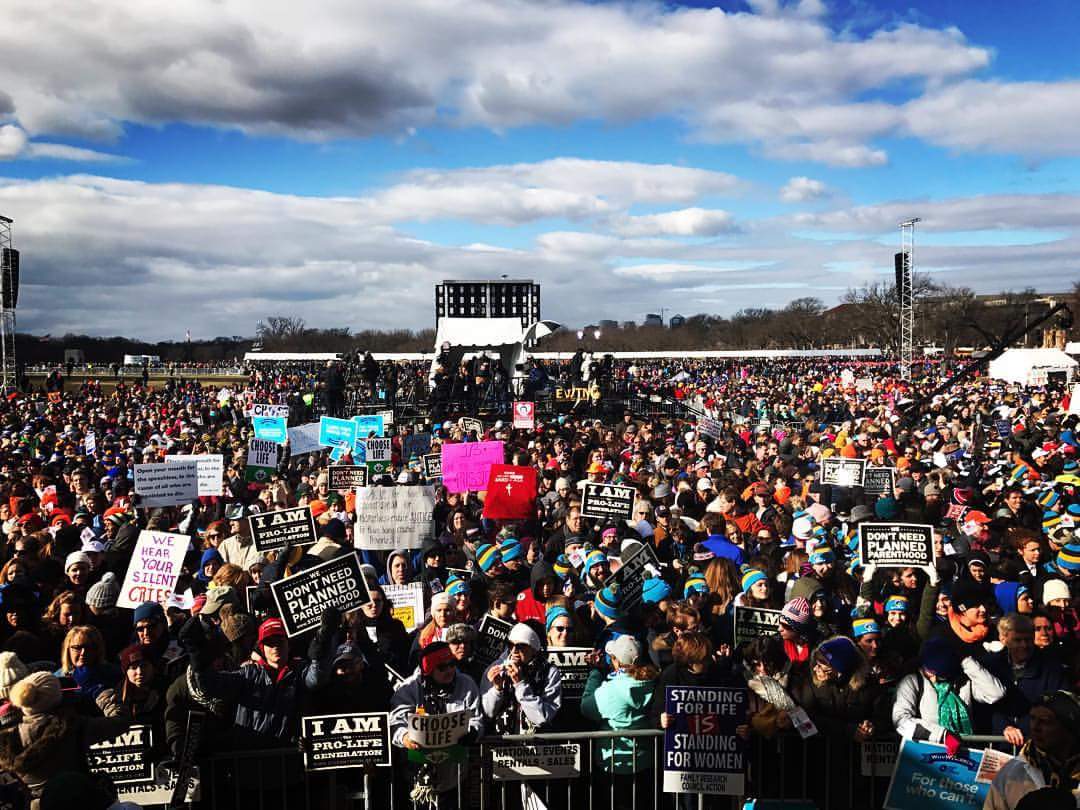 carrieinwriting's tweet photo. Let us not grow tired of doing good, for in due time we shall reap our harvest, if we do not give up. Gal. 6:9 
#MarchforLife #whywemarch https://t.co/BYDpk8JWYu
