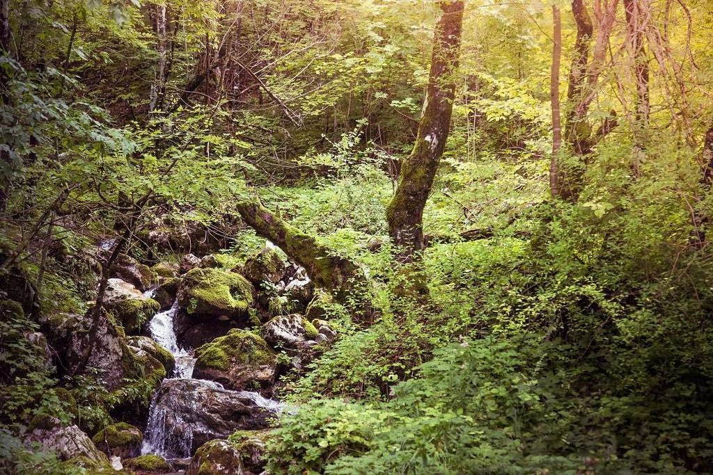 The Earth has music for those who listen 🎼🍃⠀
⠀
#travelin2 #italy #ttot