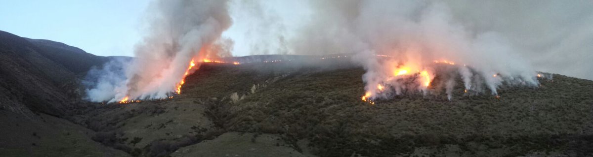 AT_Brif's tweet photo. Vamos calentando #iCOPFire #RXFire 25/01#EPRIF Tabuyo+#BLP @briftabuyo en Castrillo de Cabrera #LeonESP ➡Recuperación pastos #PrevenciónIIFF https://t.co/3LdzufVbzs