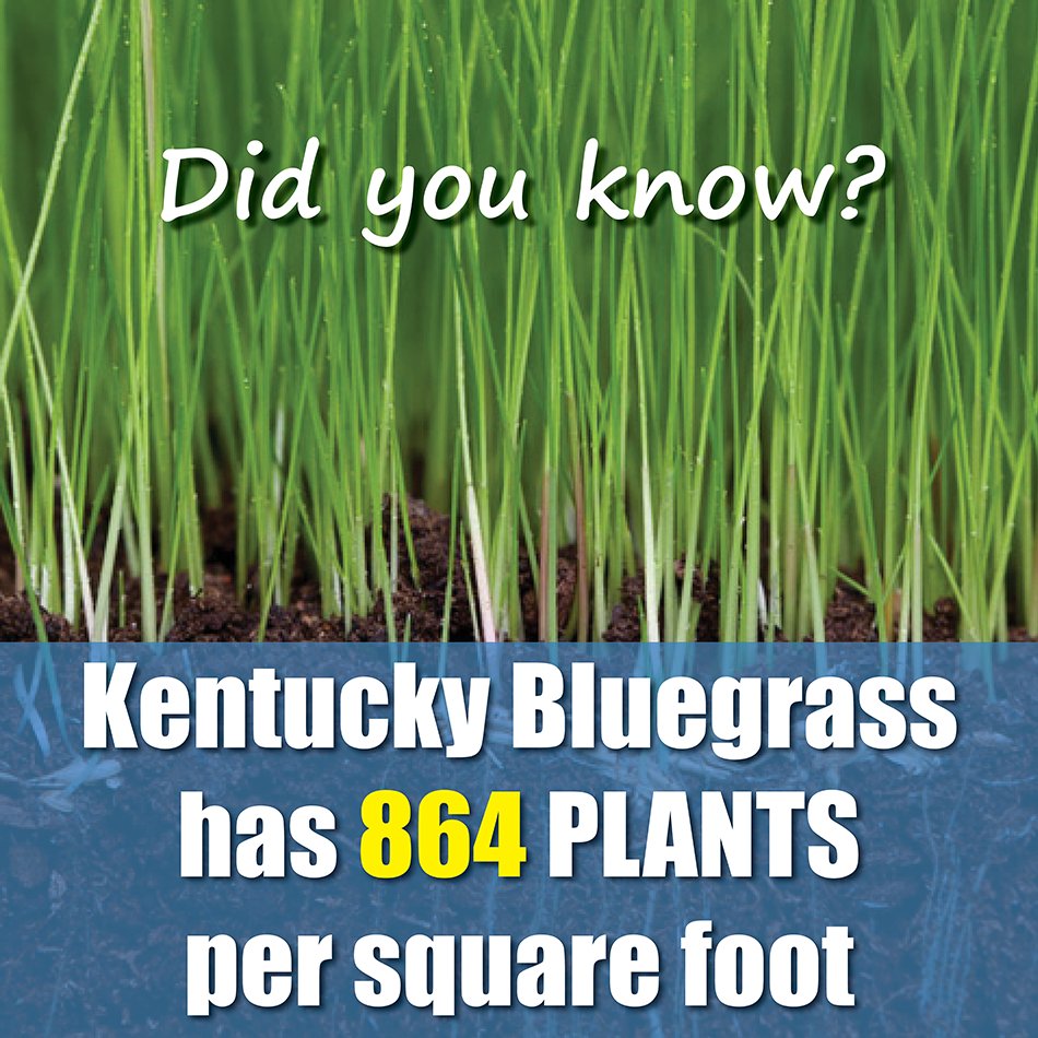 manderleyturf's tweet photo. How many? WOW, that's a lot!! https://t.co/TVIyT4izWz