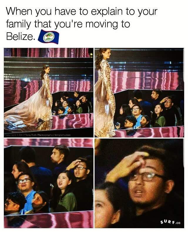 Lucy Ch. tweet media