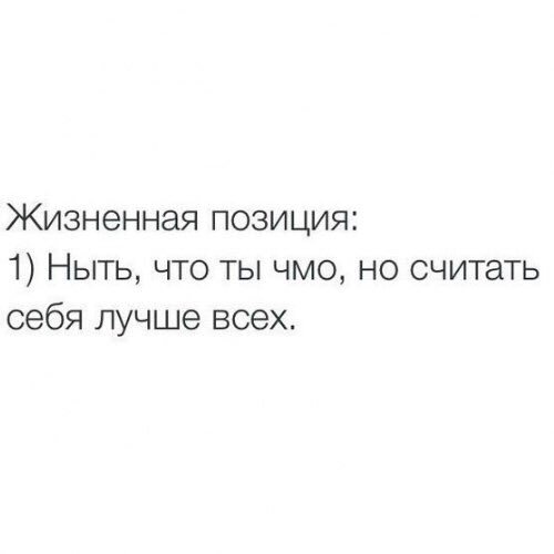 Compootic's tweet image. 