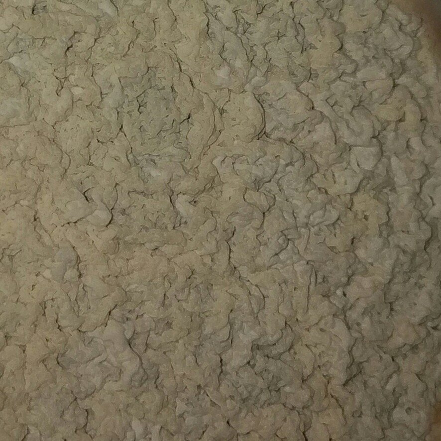 Today we release our new wine barrel-aged sour, Deep Thoughts! Check out this close-up pic of the pellicle on some of our barrels!