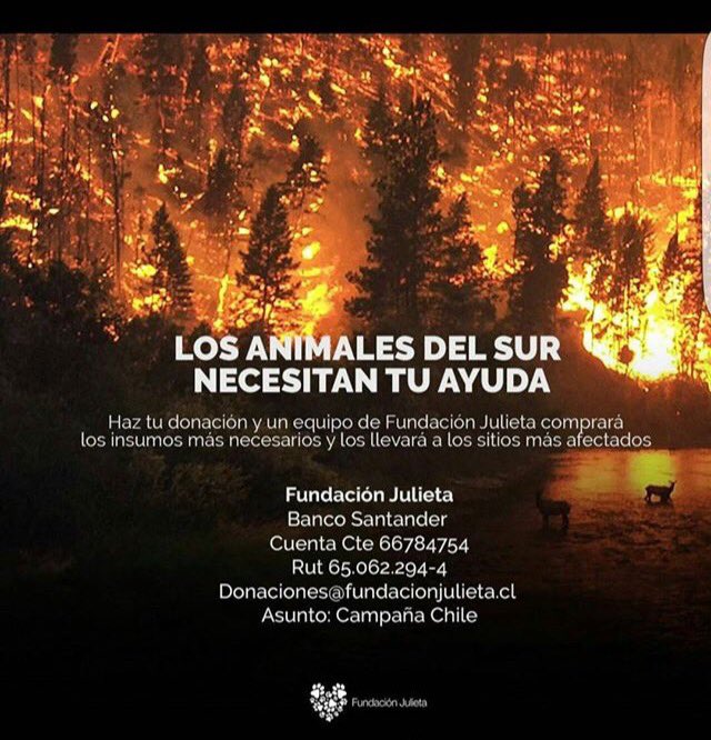 JessicaJJM93's tweet photo. #fundacionJulieta #PrayForChile #ChileAyudaAChile #ChileEnLlamas #Chileneedshelp https://t.co/Omgzp2QY9S