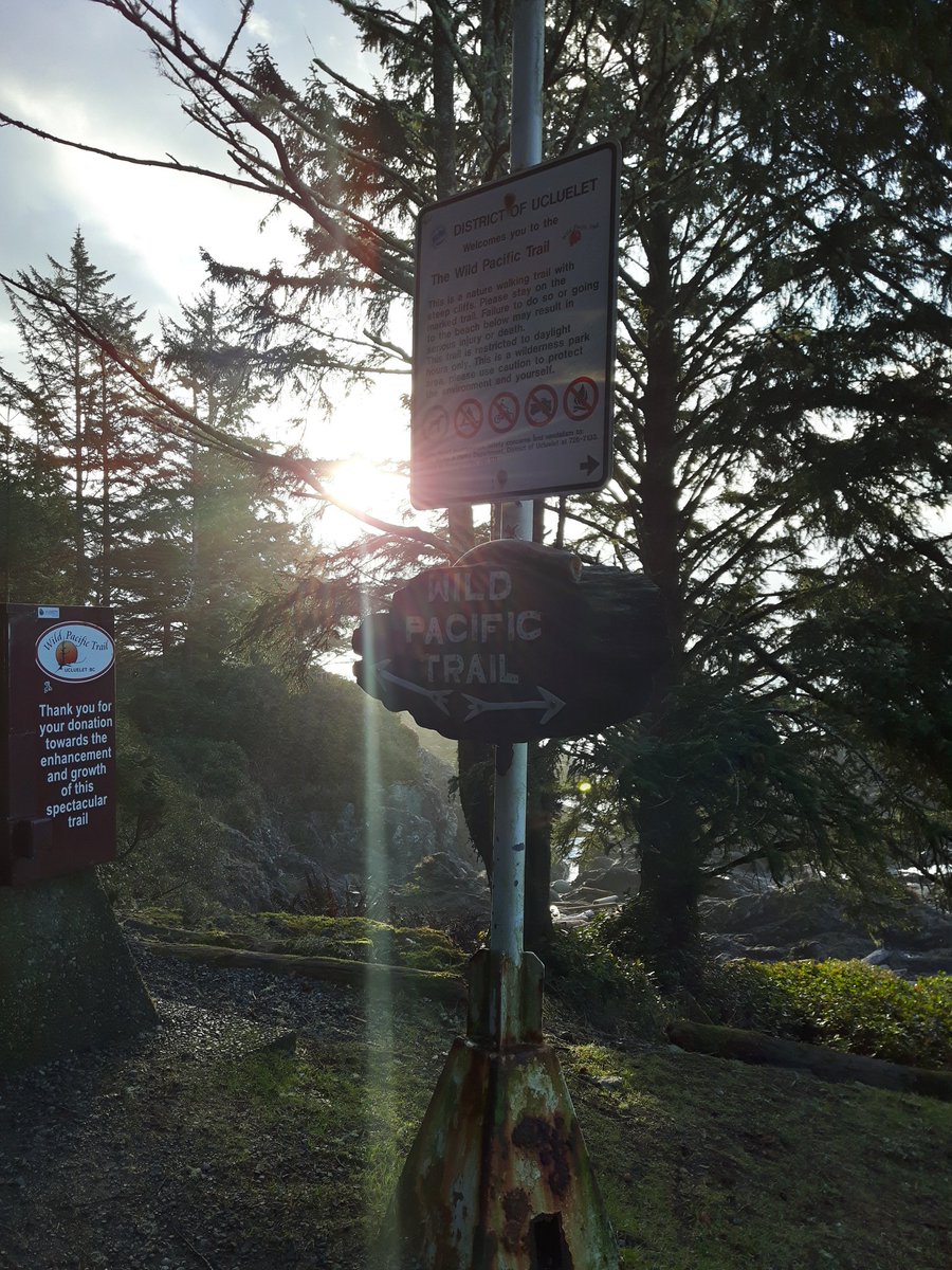 ThorntonMotel's tweet photo. How did you start your day ?
#nofilterneeded #Therealwestcoast #exploreBC #rawnature  #ukee #choosetobehere  #goodmorning #vancouverisland https://t.co/1ImcgENbBI