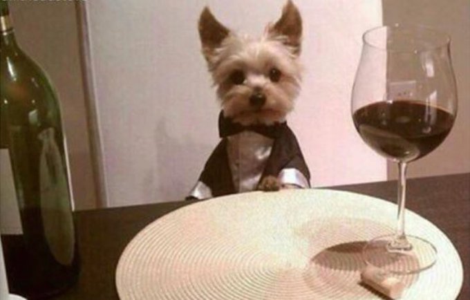 View image on Twitter