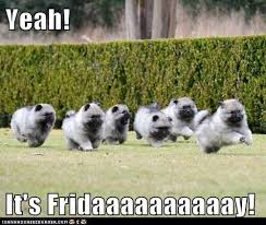GForcePlumbing's tweet photo. #fridayfeeling Hope everyone has a wonderful weekend! We're here around the clock if you need emergency weekend service. (770)-271-5700 https://t.co/MswbC5eevF