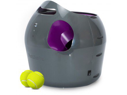 PetSafeFR's tweet photo. Si vous cherchez une activité à faire avec votre chien, pkoi ne pas testez notre lanceur de balle? 🐶😀#playtimedog https://t.co/EjNnErSHiM https://t.co/CDEfWu5rVg