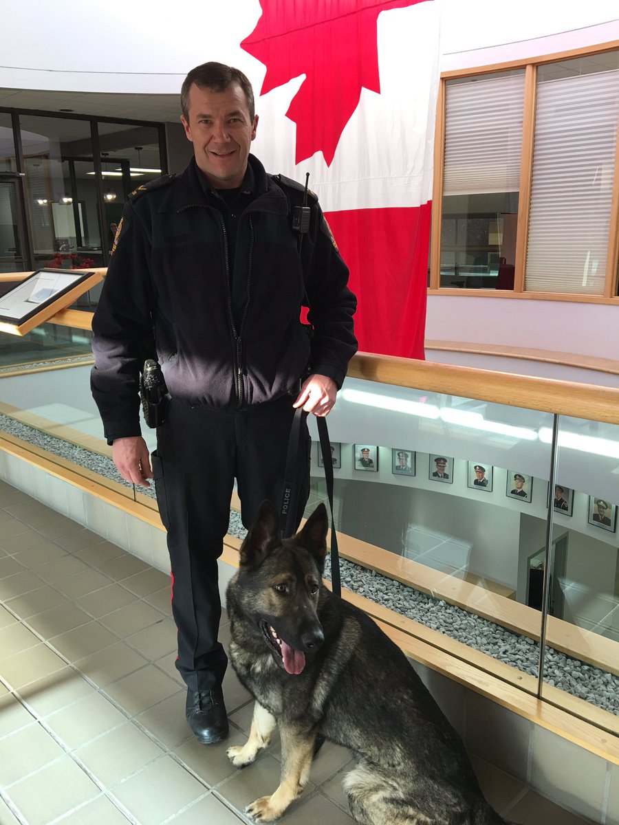 medhatpolice's tweet photo. Welcome to #medhat PSD Astor! #dogswithjobs https://t.co/48N5U32EG7