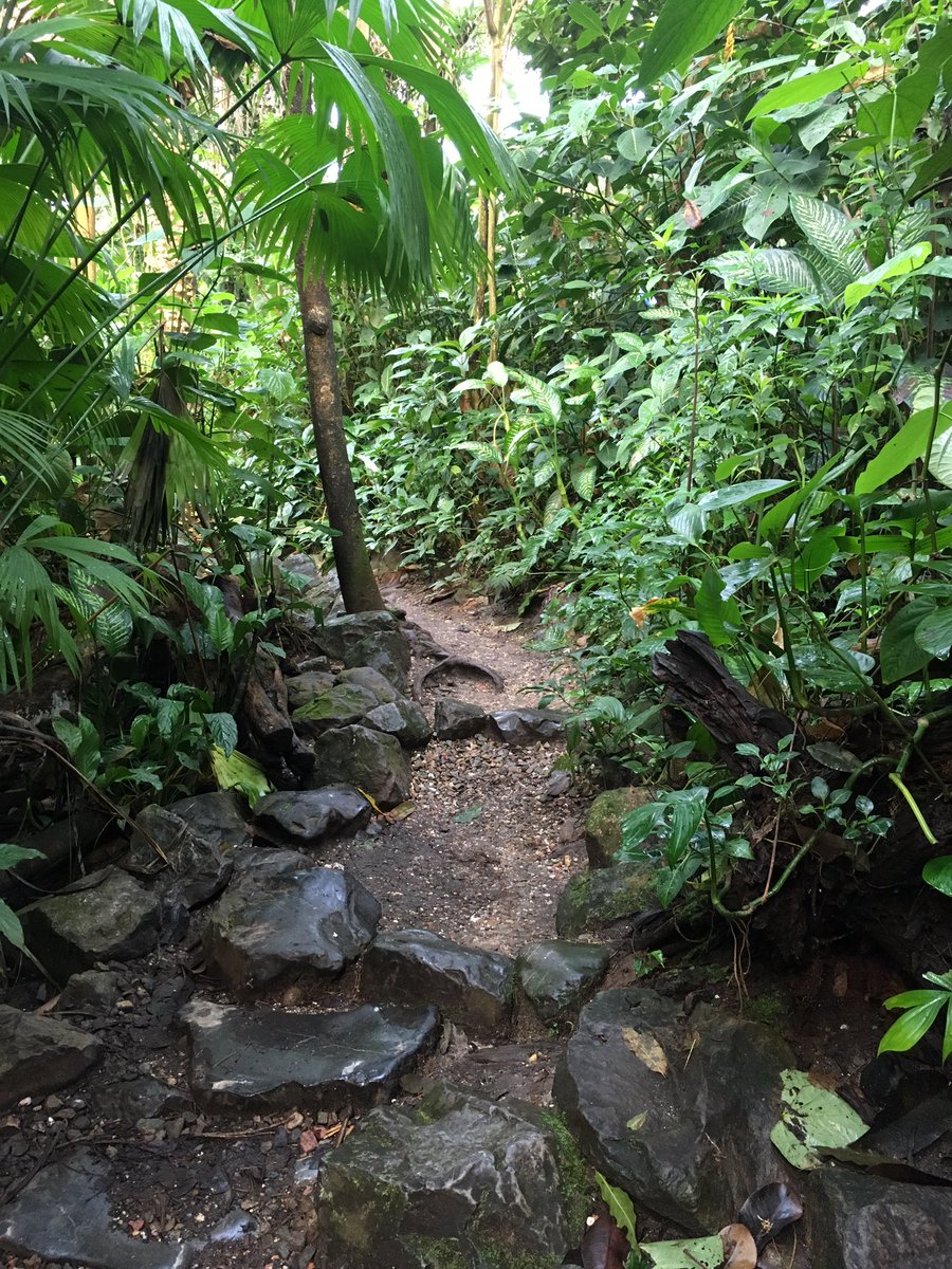 Genieten van een ander soort #natuur ... en gewoon in #Nederland! <a href="/burgerszoo/">Burgers' Zoo</a> #arnhem