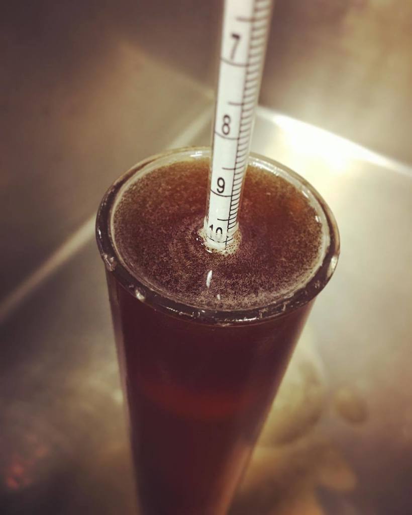 GoodBrewsRadio's tweet photo. It's 11am... do you know where your gravity is at? #gravityreading #plato #hydrometer #fer… https://t.co/dPG3BAqDCj https://t.co/XfbELjMfI7