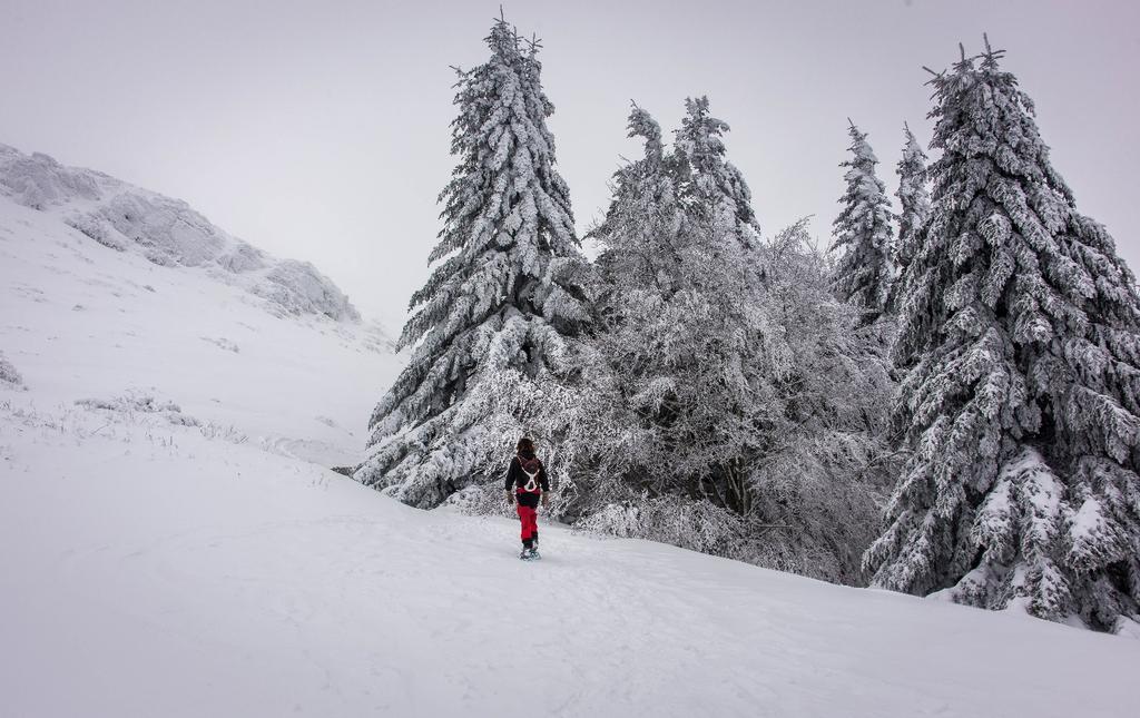 muntanyaimeteo's tweet photo. Sense paraules, així estava ahir el Turó de l'Home, i porta més de 24h sense parar de nevar:
(Foto:@QRioLiS) https://t.co/7JVCLsTsAp
