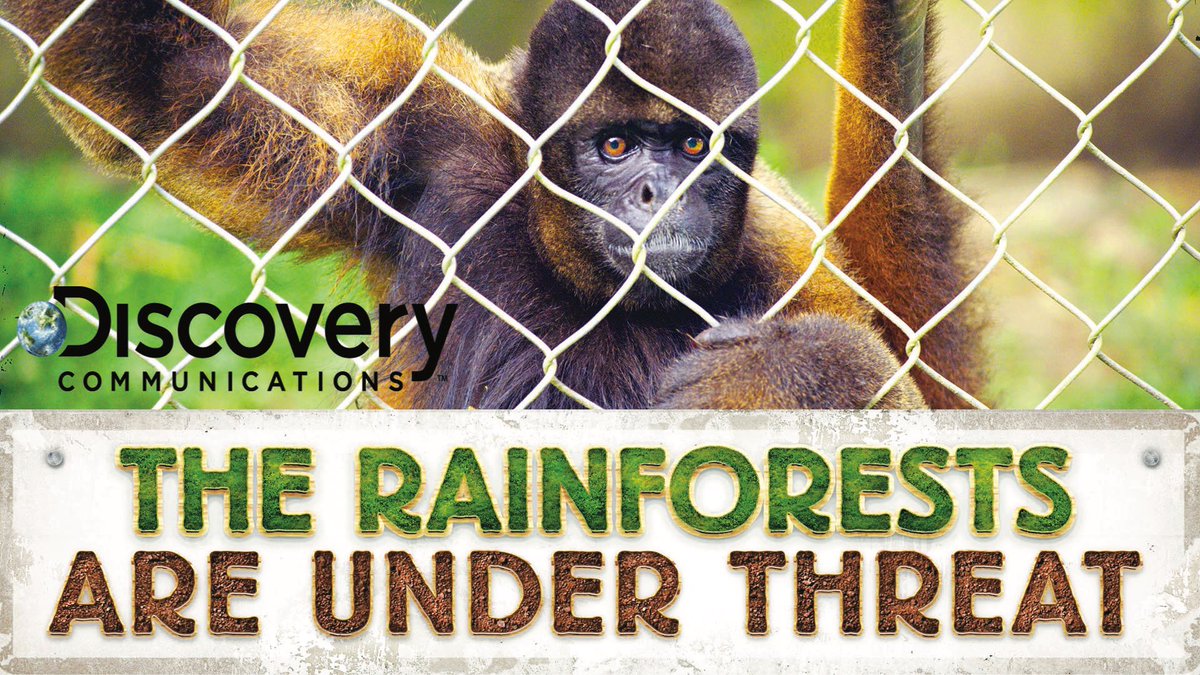 rainforestsperu's tweet photo. Watch digitally HD now on Discovery - A new multi-award winning documentary film - https://t.co/4aYgpTQVMR #climatchange #environment https://t.co/CQybdSFjbZ