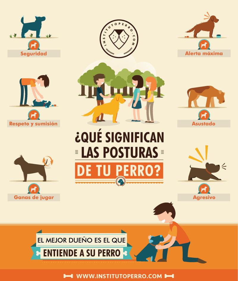 mundocan's tweet photo. Todo buen dueño aprender a entender a su perro, checa esto: https://t.co/c9OD99koKX