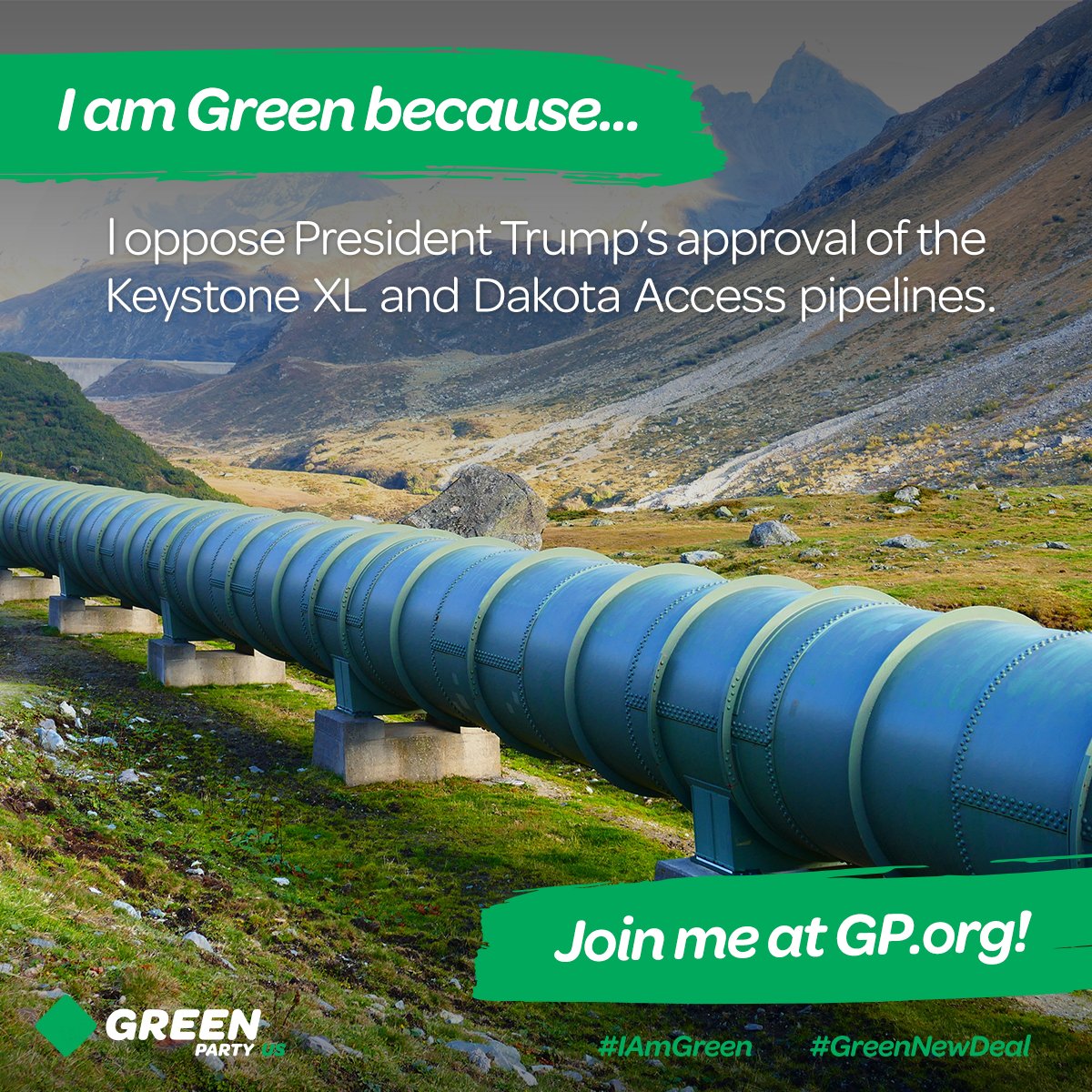 Green Party IN 5 tweet media