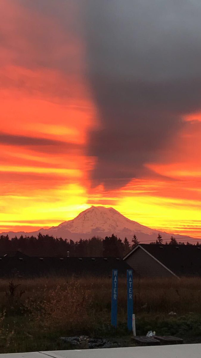 Sunny_Jeni's tweet photo. @naturetechfam This is My America // Colors of Nature: the sunrises @MountRainierNPS creates. #parkchat #FindYourPark https://t.co/Qf0H0BtBmi