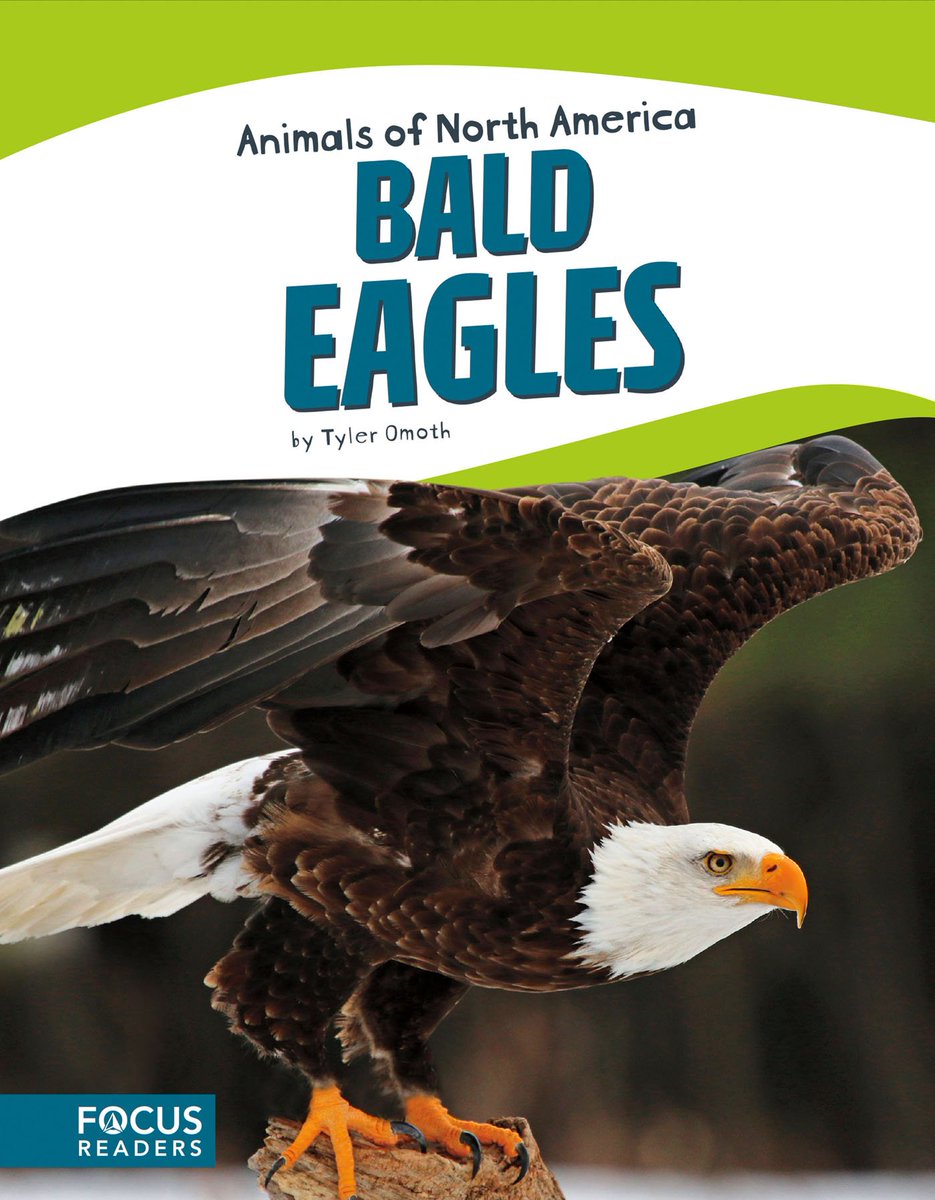 FocusReaders's tweet photo. Did you know a bald eagle's stomach is the size of a walnut? #animals #baldeagle https://t.co/TzuoloTUKT https://t.co/jRvtatDwDQ