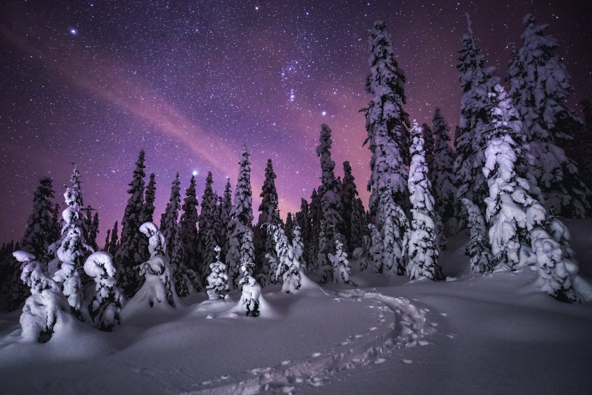 AstroCityMe's tweet photo. Ночной астропейзаж.GeraldOskoboiny.CanonEOS5DMark III.
EF16-35mm f/2.8,20sec,ƒ/3.2,18mm,ISO2500
 #астрофото #astronomy #photo #space #космос https://t.co/VbHor2AzEo
