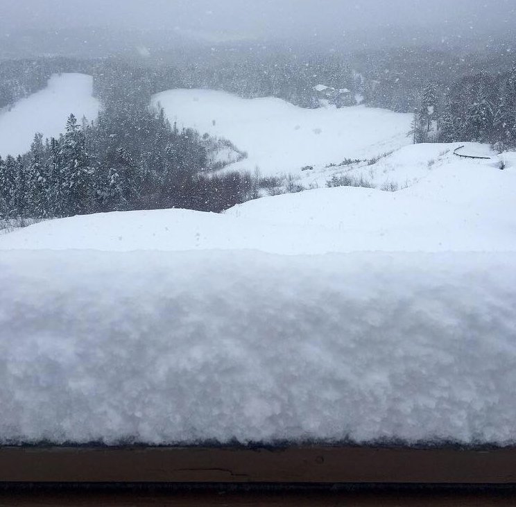 Winter is Back #freshsnow #comeoutandplay <a href="/NLtweets/">NewfoundlandLabrador</a> @GoSnowWest <a href="/CBCNL/">CBC Newfoundland and Labrador</a>