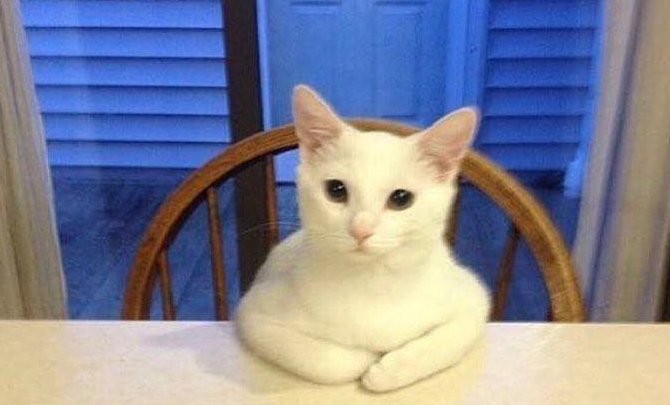 My dad looks PISSED that I dropped this acid