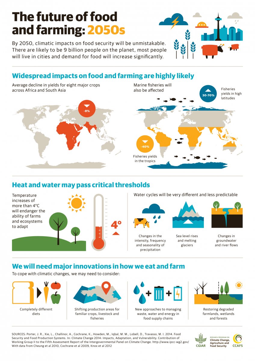 DutchOutreach's tweet photo. The effects of #ClimateChange pose a significant threat to our #foodsecurity. #Foodaccess is already an issue for 14% in US  #ClimateFacts https://t.co/gYjkICGtCk