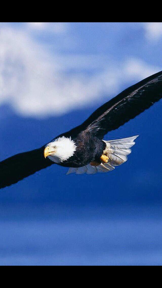 AbbasBoran's tweet photo. https://t.co/3usyhk0wEF