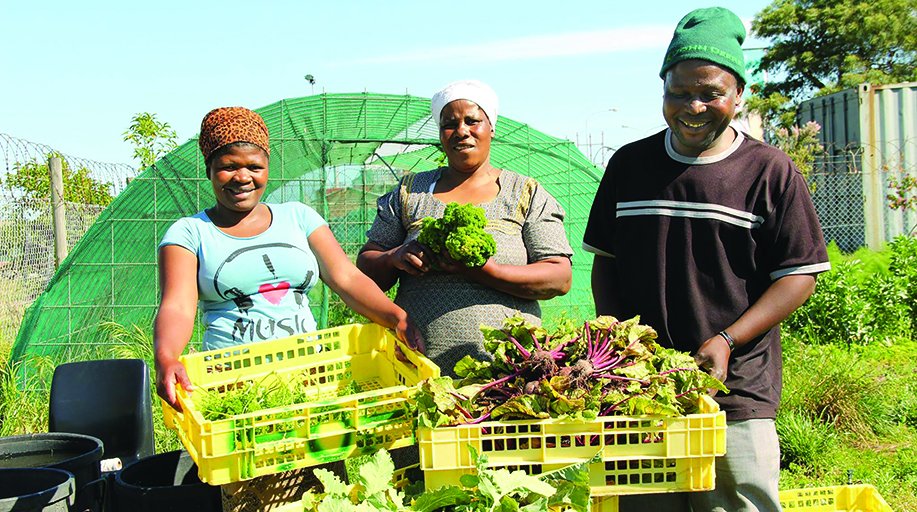 A Rotary community garden and farm in Cape Town is bringing fresh produce to local residents.  on.rotary.org/2eauKhb