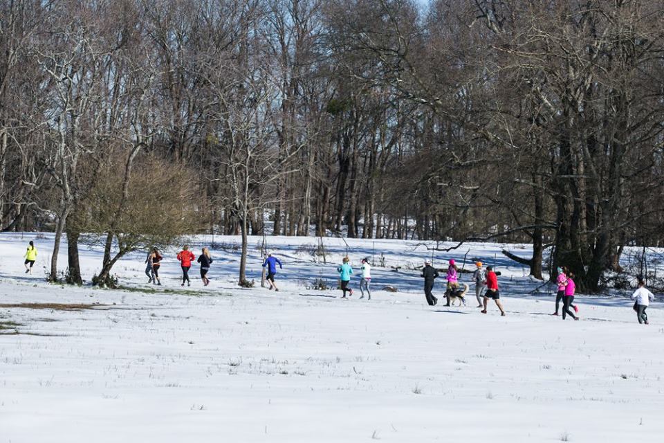 go-greenevents.com tweet media