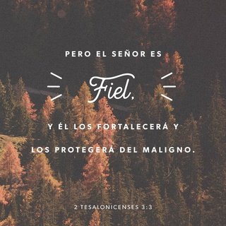 Las Domingas (@lasdomingasfm) on Twitter photo 
