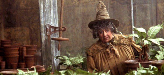 editorarocco's tweet photo. A lufana @BrunnaCassales escreve sobre a Diretora da Lufa-lufa, Pomona Sprout!! #HarryPotterBookNight https://t.co/nbWZRFRQdK https://t.co/f6NVoHBvJr