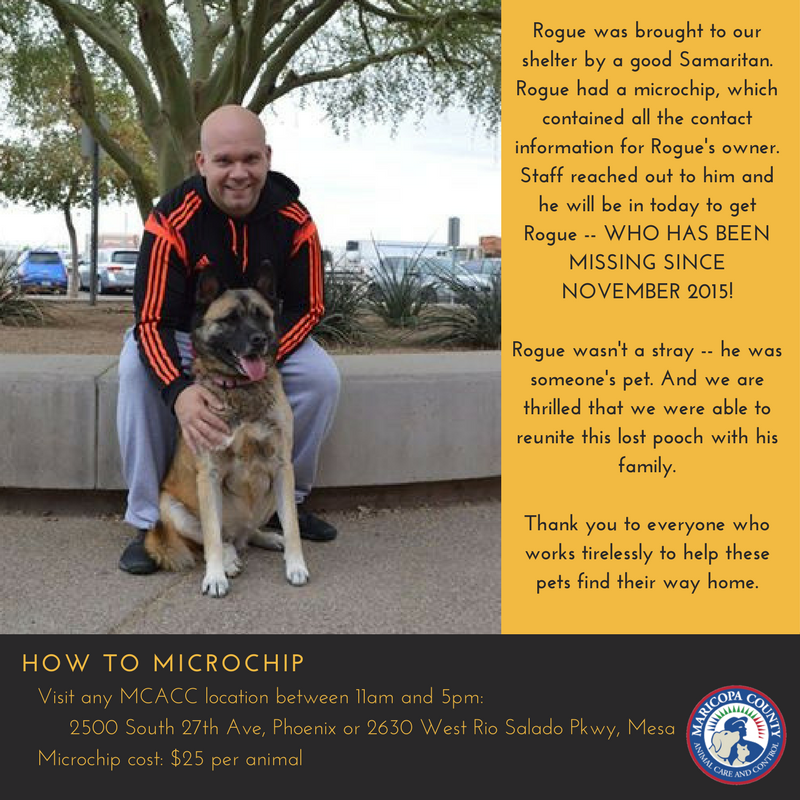 MaricopaPets's tweet photo. If you find a lost pet, please be kind and take him/her to a local veterinarian & have them scanned for a microchip! #LostPet #FureverAfter https://t.co/SdFnMYhE4V