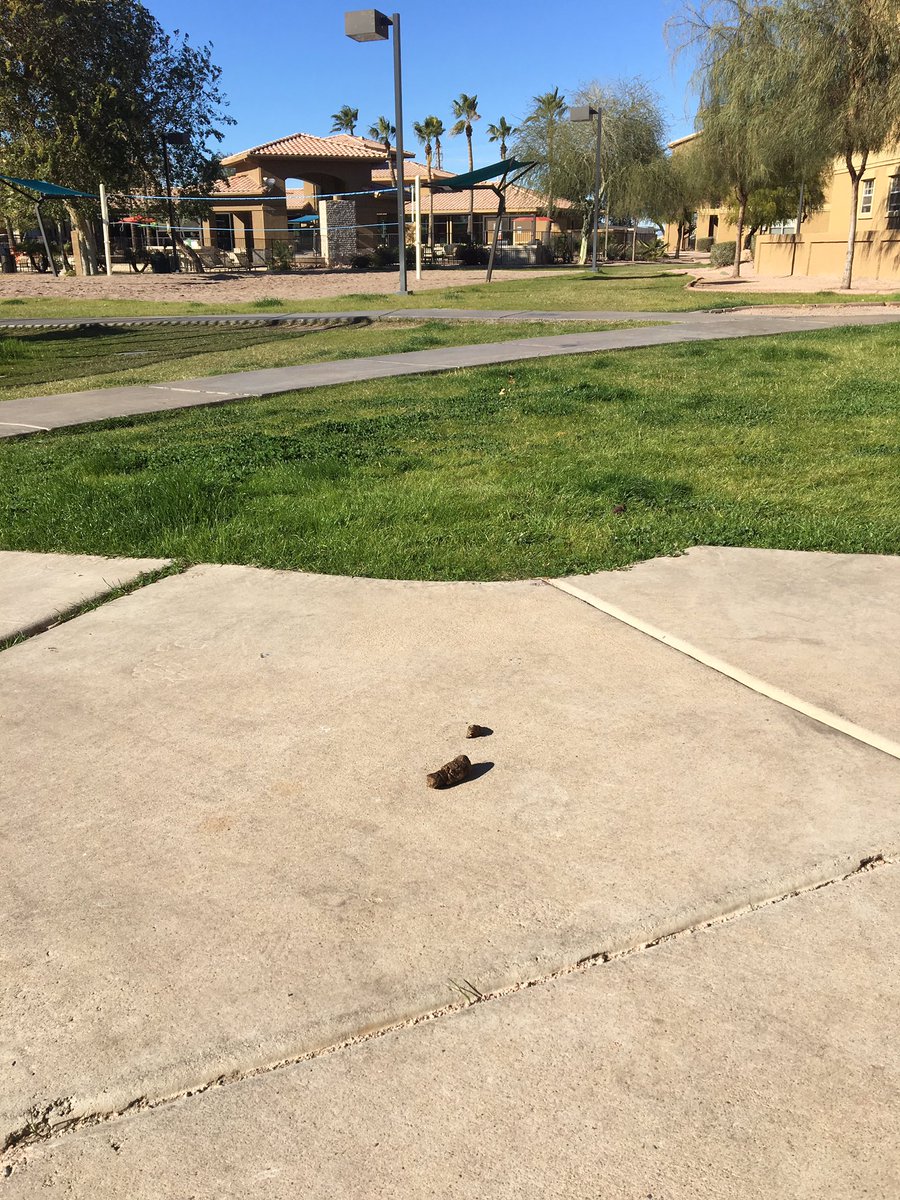 MattKones's tweet photo. Thinking of living @GatewayAtTempe  ? Enjoy the constant smell of poop among many other poor conditions! https://t.co/bqFq9cwKu0