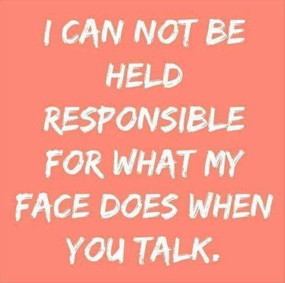 BumblebeeDannie's tweet photo. #notresponsible https://t.co/kmEe8HVvy1
